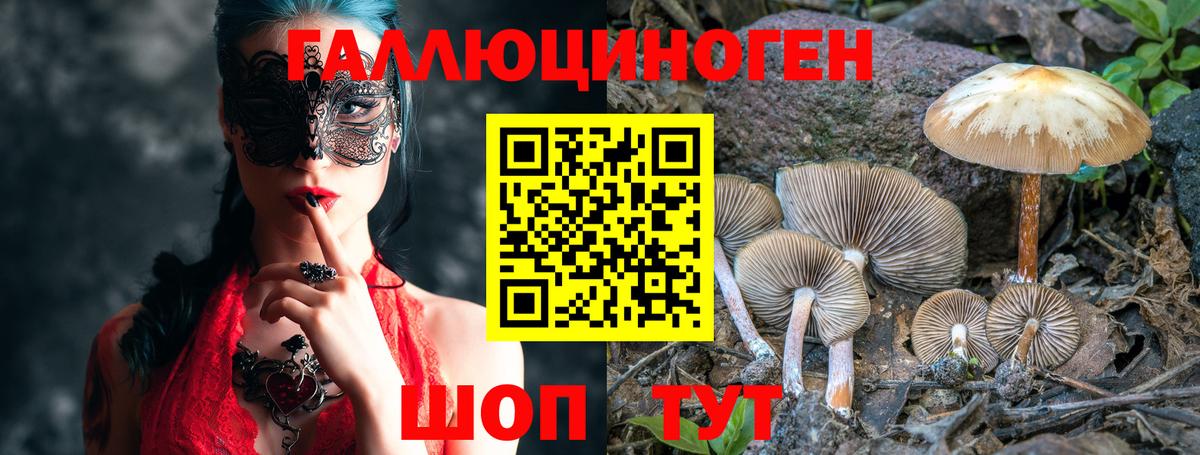 Электросталь  купить закладку  Вход с VPN  Псилоцибиновые грибы MAGIC MUSHROOMS 